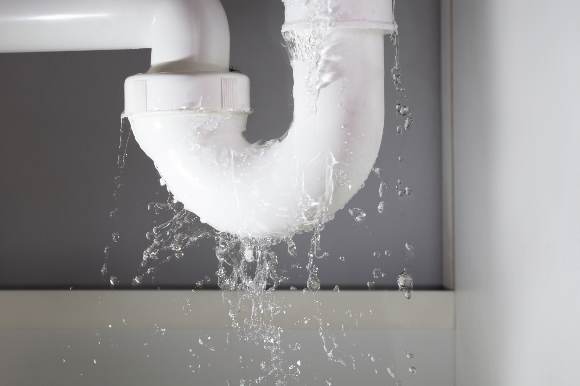 7 Easy Ways To Detect Hidden Water Leaks In Your Home Plumbing Utah