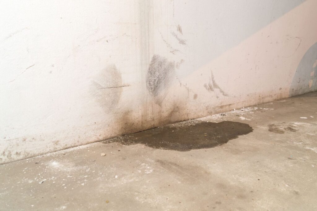 plumber-damp-basement-heavy-rain
