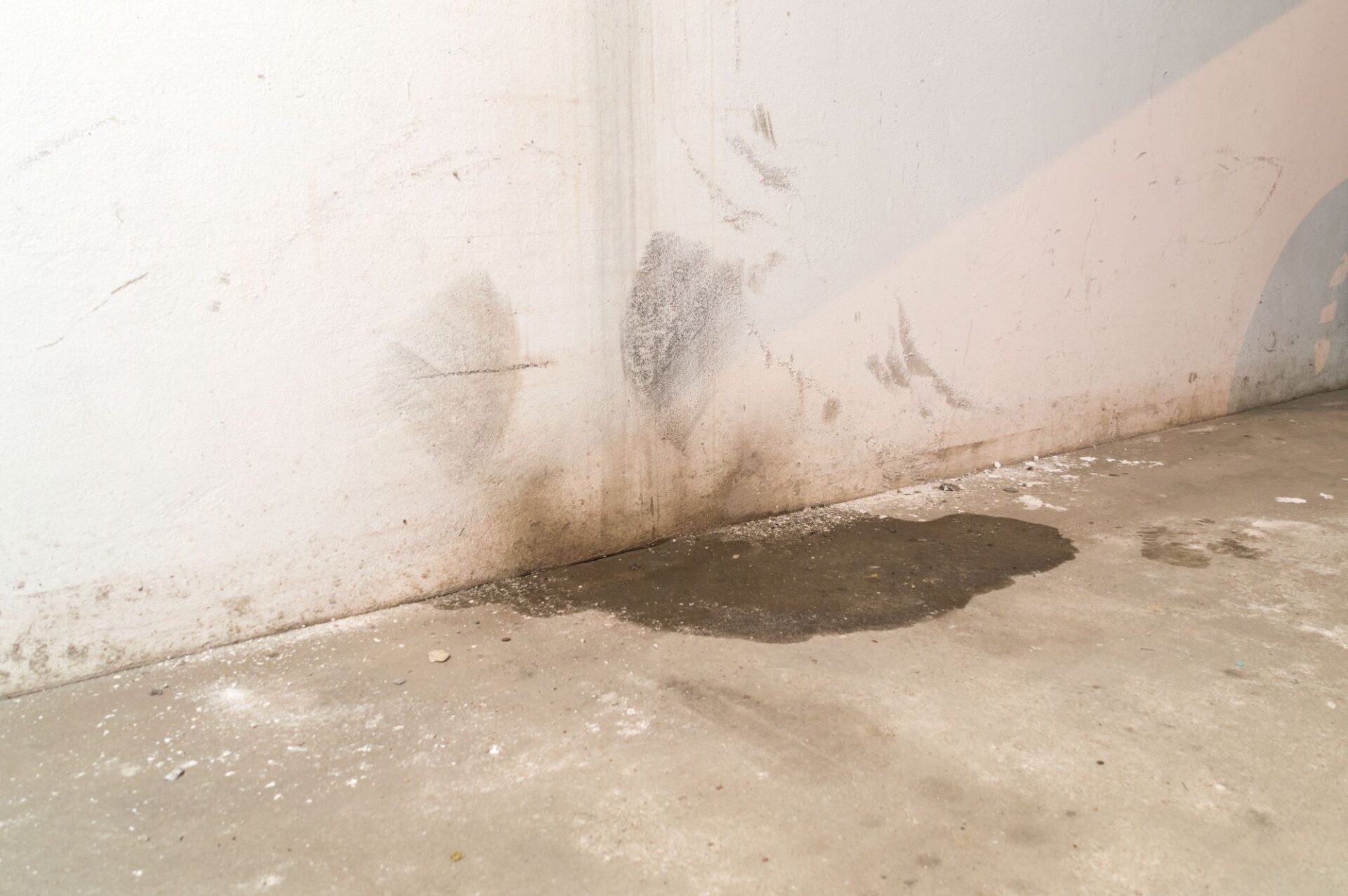 plumber-damp-basement-heavy-rain